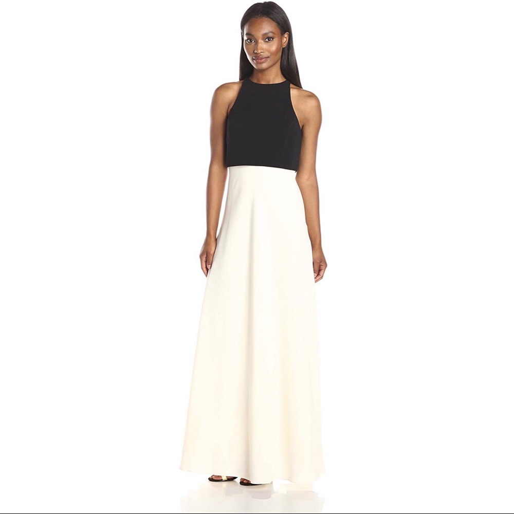 Jill Jill Stuart Popover Two-Tone Gown